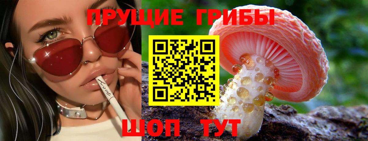 Псилоцибиновые грибы ЛСД Полысаево